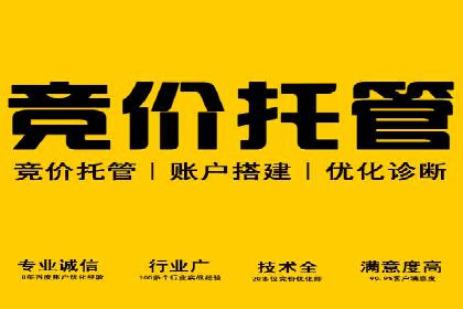 sem竞价推广托管成功案例：提升品牌知名度
